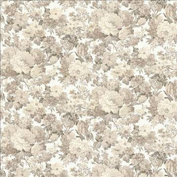Campagne Floral Natural by Kasmir Fabric 5062 55% Cotton 45% Polyester SPAIN 20,000 Wyzenbeek Double Rubs H: 54 inches, V: 27 inches 54 - 56 - Fabric Carolina - Kasmir