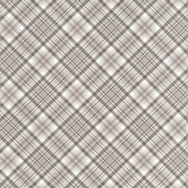 Campagne Plaid Natural by Kasmir Fabric 5062 55% Cotton
45% Polyester
 SPAIN 20,000 Wyzenbeek Double Rubs Horizontal: 12 4/8 inches and Vertical: 12 4/8 inches 54 - Fabric Carolina -