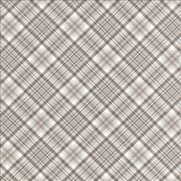 Campagne Plaid Natural by Kasmir Fabric 5062 55% Cotton 45% Polyester SPAIN 20,000 Wyzenbeek Double Rubs H: 12 4/8 inches, V: 12 4/8 inches 54 - 56 - Fabric Carolina - Kasmir