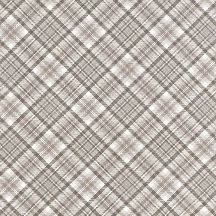 Campagne Plaid Natural by Kasmir Fabric 5062 55% Cotton
45% Polyester
 SPAIN </p><p>Repeat: Horizontal: 12 4/8 inches and Vertical: 12 4/8 inches 54 - 56 - Fabric Carolina -