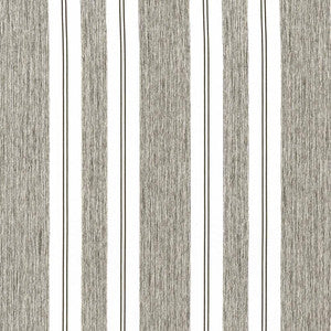 Campania Stripe Pewter by Kasmir Fabric