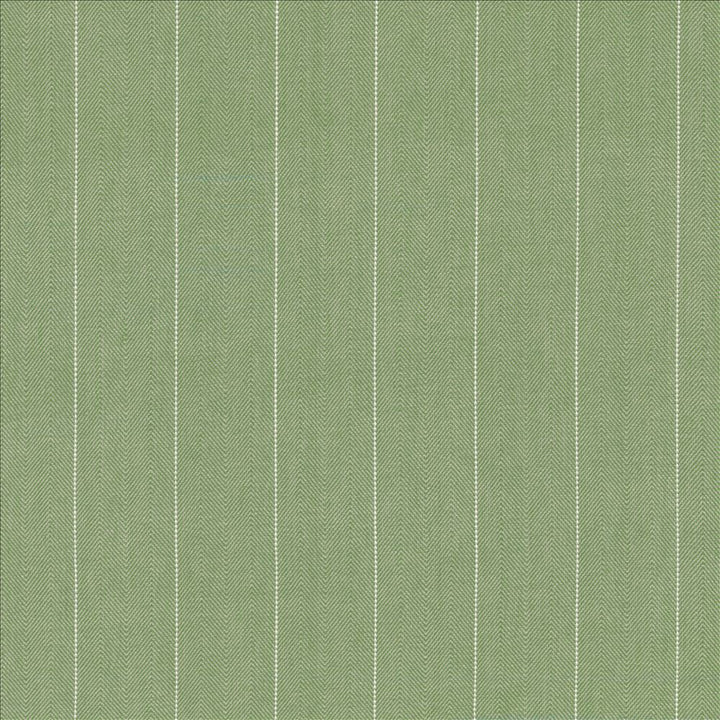 Campus Stripe Thyme by Kasmir Fabric 5145 100% Cotton
 INDIA </p><p>Repeat: Horizontal: 3 inches and Vertical: N/A 54 - Fabric Carolina -