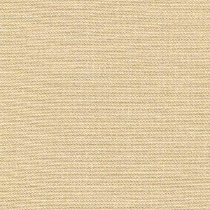 Canal Street Goldenrod by Kasmir Fabric 1412 100% Polyester CHINA Not Tested H: N/A, V:N/A 61 - 62 - Fabric Carolina - Kasmir