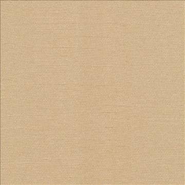 Canal Street Honey by Kasmir Fabric 1412 100% Polyester CHINA Not Tested H: N/A, V: N/A 61 - 62 - Fabric Carolina - Kasmir