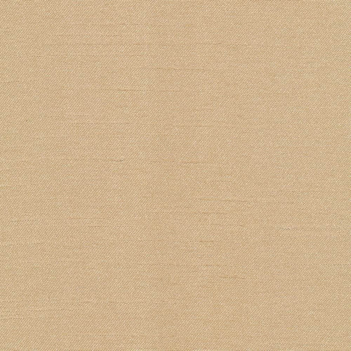 Canal Street Honey by Kasmir Fabric 1412 100% Polyester
 CHINA Not Tested Horizontal: N/A and Vertical: N/A 61 - Fabric Carolina -
