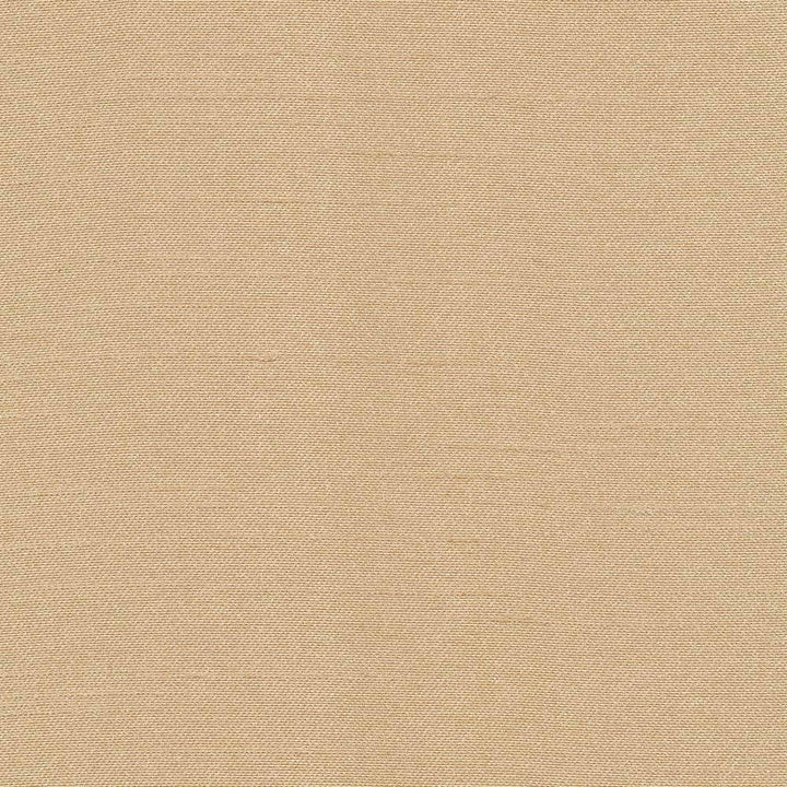 Canal Street Honey by Kasmir Fabric 1412 100% Polyester CHINA Not Tested H: N/A, V:N/A 61 - 62 - Fabric Carolina - Kasmir