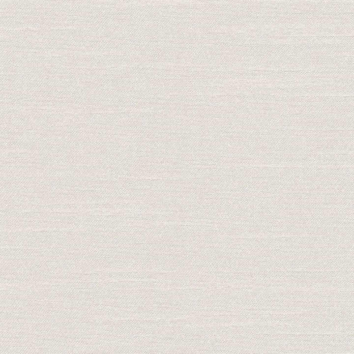 Canal Street Ivory by Kasmir Fabric 1412 100% Polyester CHINA Not Tested Horizontal: 0 Inches and Vertical: 0 Inches 61 - 62 - Fabric Carolina -