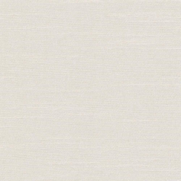 Canal Street Ivory by Kasmir Fabric 1412 100% Polyester CHINA Not Tested H: N/A, V:N/A 61 - 62 - Fabric Carolina - Kasmir
