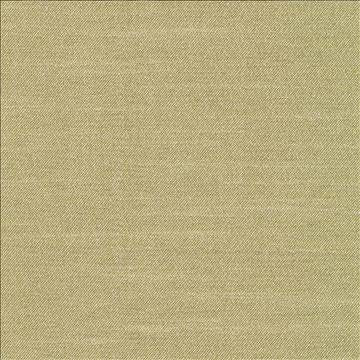 Canal Street Kiwi by Kasmir Fabric 1412 100% Polyester CHINA Not Tested H: N/A, V: N/A 61 - 62 - Fabric Carolina - Kasmir