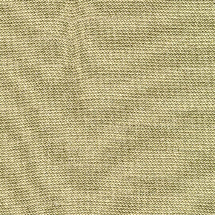 Canal Street Kiwi by Kasmir Fabric 1412 100% Polyester CHINA Not Tested H: N/A, V:N/A 61 - 62 - Fabric Carolina - Kasmir