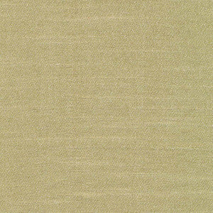 Canal Street Kiwi by Kasmir Fabric