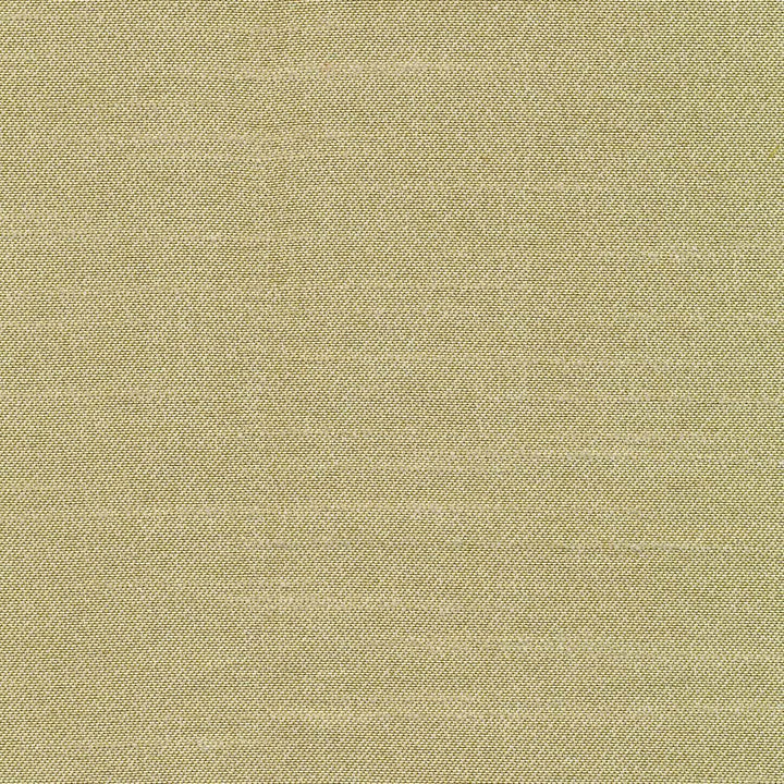 Canal Street Kiwi by Kasmir Fabric 1412 100% Polyester
 CHINA Not Tested Horizontal: N/A and Vertical: N/A 61 - Fabric Carolina -