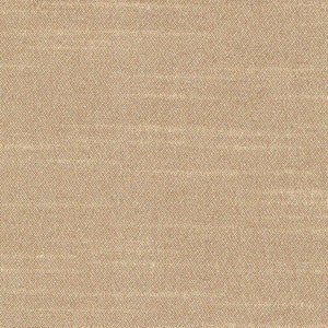 Canal Street Latte by Kasmir Fabric