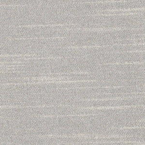 Canal Street Platinum by Kasmir Fabric