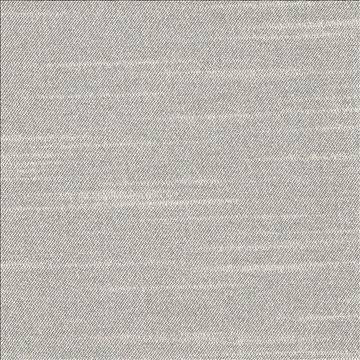 Canal Street Platinum by Kasmir Fabric 1412 100% Polyester CHINA Not Tested H: N/A, V: N/A 61 - 62 - Fabric Carolina - Kasmir