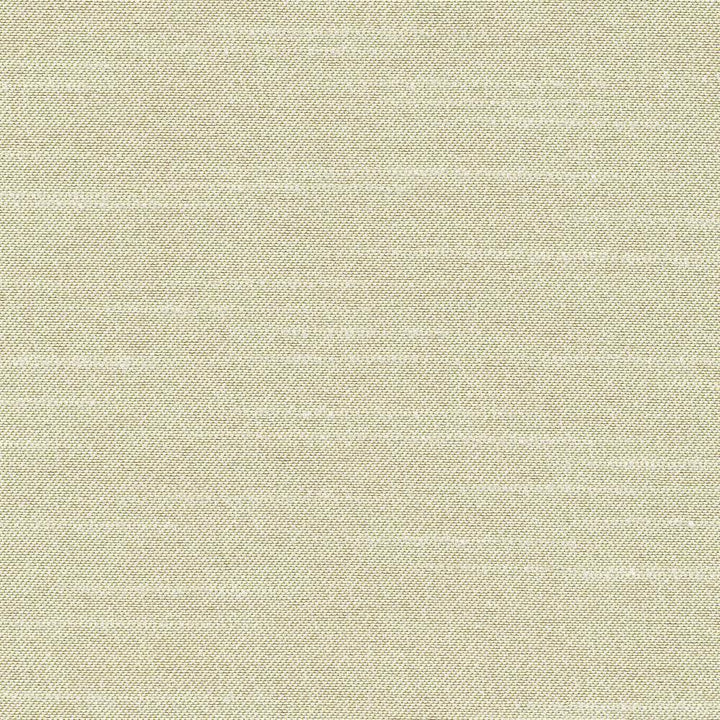 Canal Street Silver Sage by Kasmir Fabric 1412 100% Polyester CHINA Not Tested H: N/A, V:N/A 61 - 62 - Fabric Carolina - Kasmir