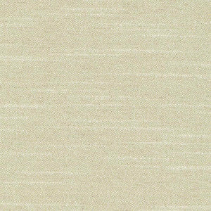 Canal Street Silver Sage by Kasmir Fabric