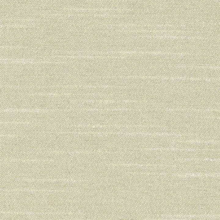 Canal Street Silver Sage  by Kasmir Fabric See sample 100% Polyester
 CHINA Not Tested </p><p>Repeat: Horizontal: N/A and Vertical: N/A 61  - Fabric Carolina -