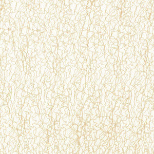 Candy Floss Pearl by Kasmir Fabric