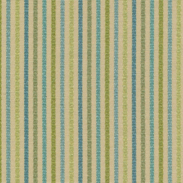 Candy Stripe Aloe by Kasmir Fabric 1372 53% Cotton
47% Polyester
 TAIWAN 49,000 Wyzenbeek Double Rubs Horizontal: 1 4/8 inches and Vertical: N/A 54 - Fabric Carolina -