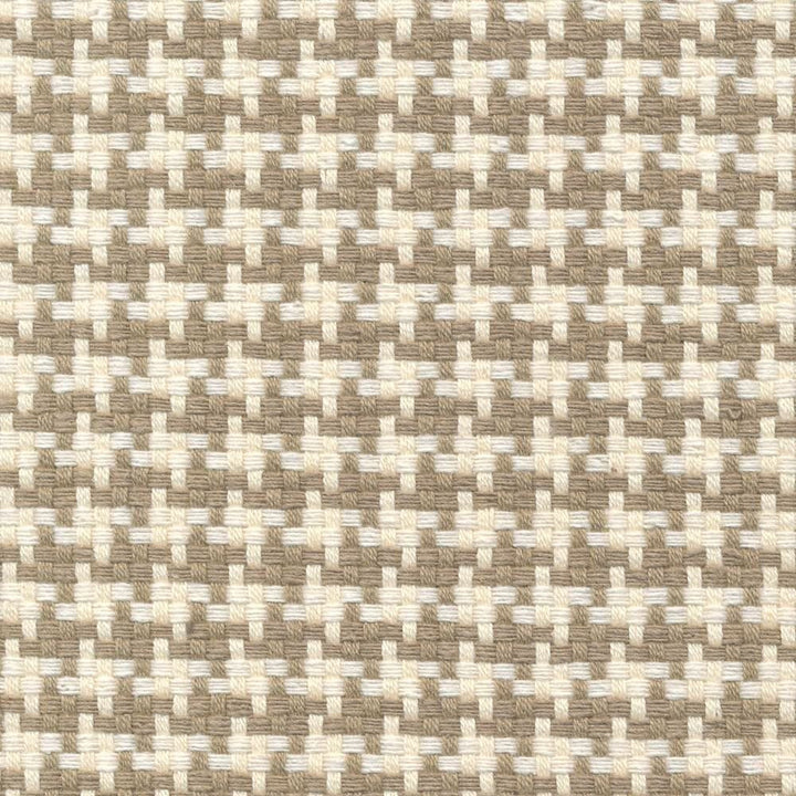 Canine Linen by Kasmir Fabric 1383 88% Cotton 12% Polyester USA 15,000 Wyzenbeek Double Rubs Horizontal: 4/8 inches and Vertical: 4/8 inches 54 - Fabric Carolina -