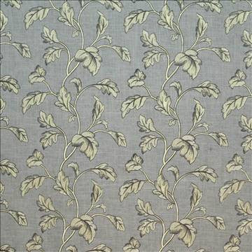 Canton Garden Platinum by Kasmir Fabric 1406 60% Rayon 40% Linen CHINA 6,000 Wyzenbeek Double Rubs H: 13 4/8 inches, V: 11 4/8 inches 54 - Fabric Carolina - Kasmir
