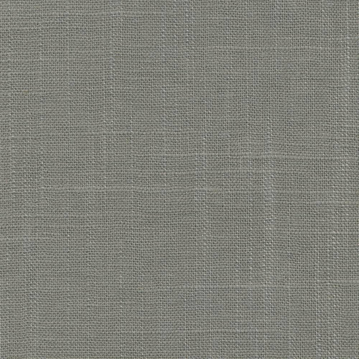 Canton Linen Platinum by Kasmir Fabric 1406 55% Linen 45% Rayon CHINA 6,000 Wyzenbeek Double Rubs H: N/A, V:N/A 54 - Fabric Carolina - Kasmir