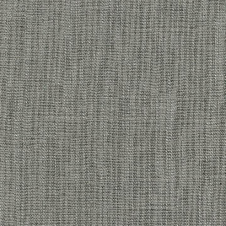 Canton Linen Platinum  by Kasmir Fabric See sample 55% Linen
45% Rayon
 CHINA 6,000 Wyzenbeek Double Rubs </p><p>Repeat: Horizontal: N/A and Vertical: N/A 54  - Fabric Carolina -