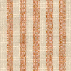 Cape Cod Stripe Sienna by Kasmir Fabric