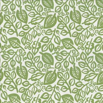 Capeside Lime by Kasmir Fabric 1436 76% Rayon 24% Polyester CHINA 50,000 Wyzenbeek Double Rubs H: 27 inches, V: 27 inches 58 - Fabric Carolina - Kasmir