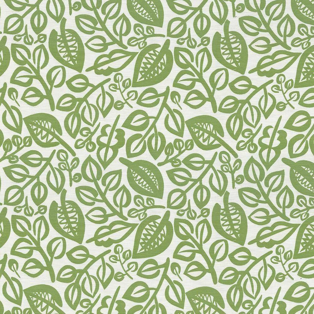 Capeside Lime by Kasmir Fabric 1436 76% Rayon 24% Polyester CHINA 50,000 Wyzenbeek Double Rubs H: 27 inches, V:27 inches 58 - Fabric Carolina - Kasmir