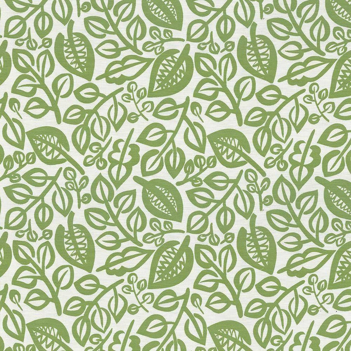 Capeside Lime by Kasmir Fabric 1436 76% Rayon 24% Polyester CHINA 50,000 Wyzenbeek Double Rubs H: 27 inches, V:27 inches 58 - Fabric Carolina - Kasmir