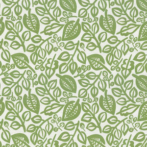 Capeside Lime by Kasmir Fabric