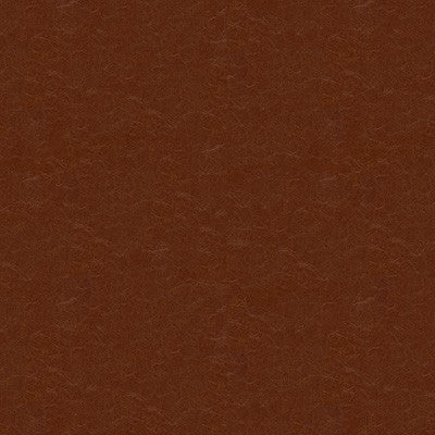 Captured Cappucio by Kravet Couture Fabric