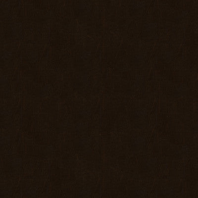 Captured Coffee by Kravet Couture Fabric