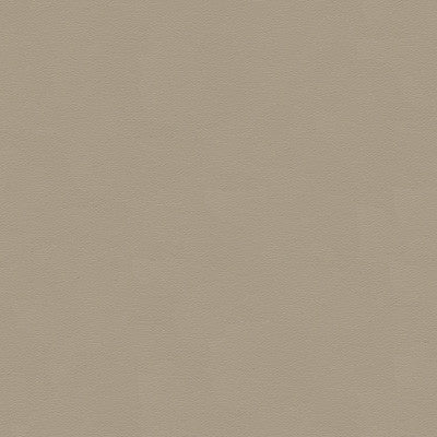 Kravet Design Cara-1601 by Kravet Design Fabric