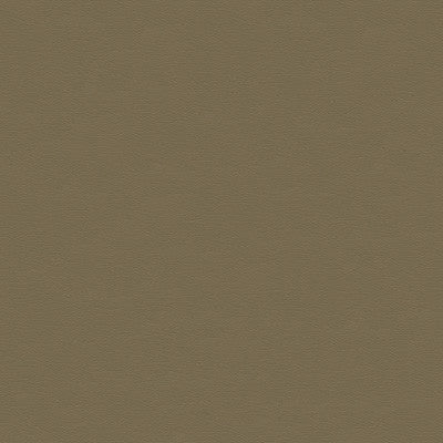 Kravet Design Cara-1611 by Kravet Design Fabric