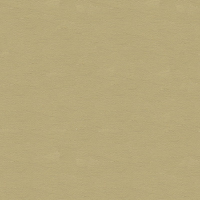 Kravet Design Cara-16 by Kravet Design Fabric