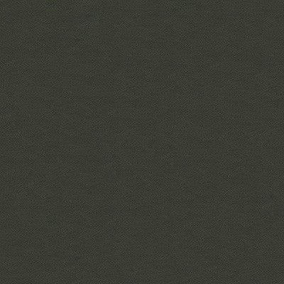 Kravet Design Cara-21 by Kravet Design Fabric