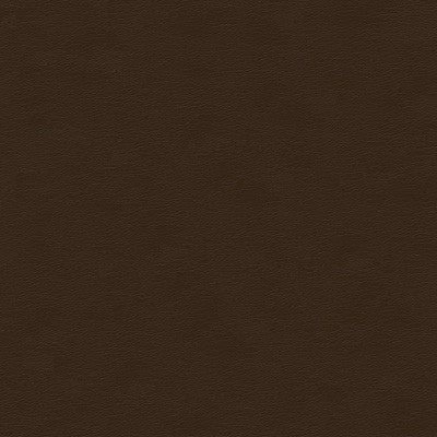 Kravet Design Cara-66 by Kravet Design Fabric