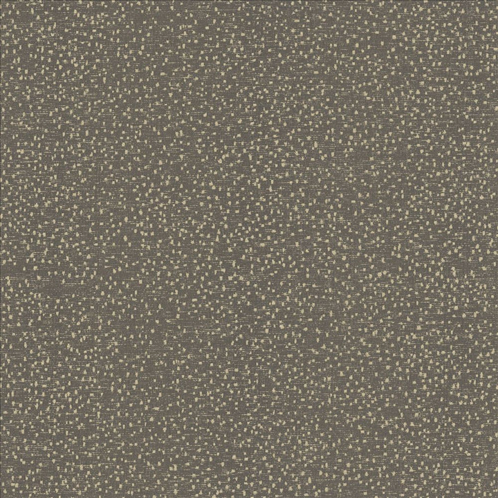 Carissa Charcoal by Kasmir Fabric 1462 100% Polyester
 CHINA </p><p>Repeat: Horizontal: N/A and Vertical: N/A 56 - Fabric Carolina -