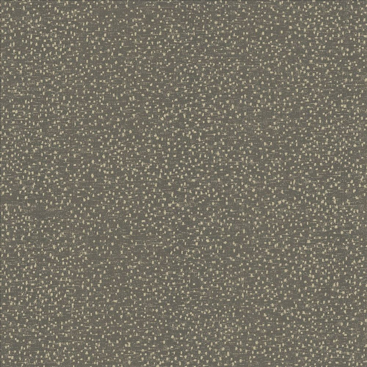 Carissa Charcoal  by Kasmir Fabric See sample 100% Polyester
 CHINA 76,000 Wyzenbeek Double Rubs </p><p>Repeat: Horizontal: N/A and Vertical: N/A 56  - Fabric Carolina -