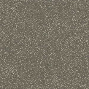 Carissa Charcoal by Kasmir Fabric