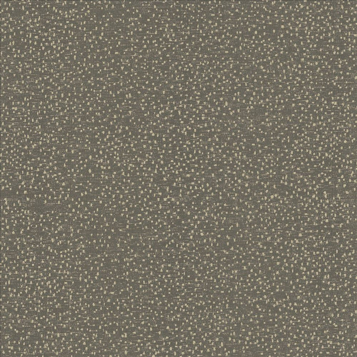 Carissa Charcoal by Kasmir Fabric 1462 100% Polyester
 CHINA 76,000 Wyzenbeek Double Rubs </p><p>Repeat: Horizontal: N/A and Vertical: N/A 56 - Fabric Carolina -
