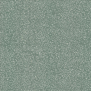 Carissa Mineral by Kasmir Fabric