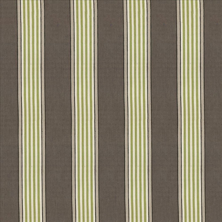 Carnegie Stripe Palm by Kasmir Fabric 1446 42% Viscose
40% Polyester
18% Linen
 CHINA 30,000 Martindale Cycles Horizontal: 7 inches and Vertical: N/A 57 - Fabric Carolina -
