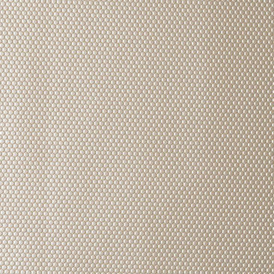 Carrai Mica by Kravet Design Fabric