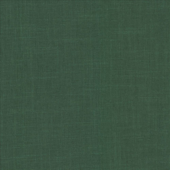 Casual Chic Kelly Green  by Kasmir Fabric 5188 36% Polyester 26% Cotton 22% Viscose 16% Linen  CHINA  </p><p>Repeat: Horizontal: N/A and Vertical:  0 inches 56  - Fabric Carolina -
