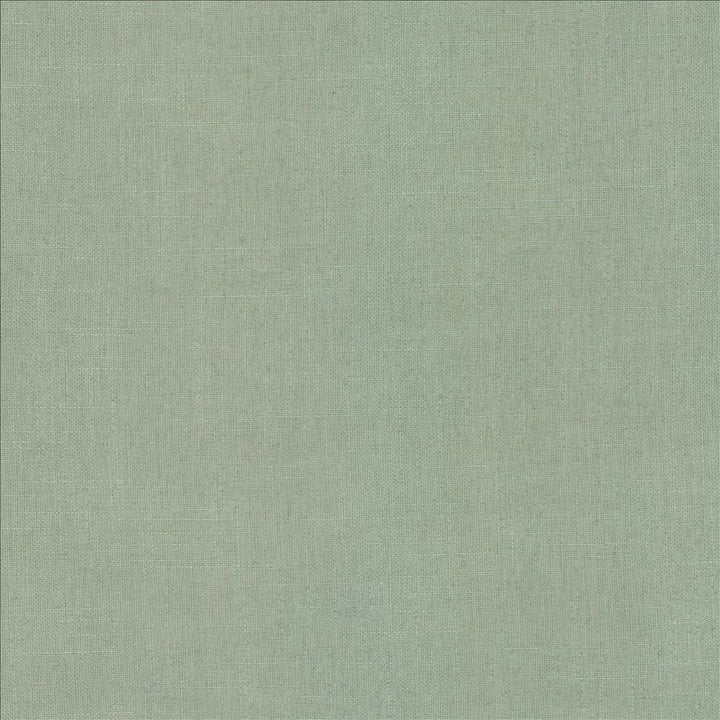 Casual Chic Peridot  by Kasmir Fabric 5188 36% Polyester 26% Cotton 22% Viscose 16% Linen  CHINA  </p><p>Repeat: Horizontal: N/A and Vertical:  0 inches 56  - Fabric Carolina -