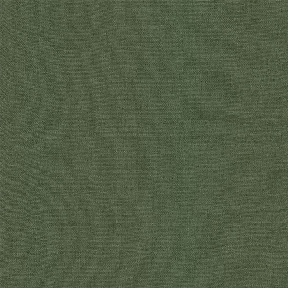 Casual Chic Pine  by Kasmir Fabric 5188 36% Polyester 26% Cotton 22% Viscose 16% Linen  CHINA  </p><p>Repeat: Horizontal: N/A and Vertical:  0 inches 56  - Fabric Carolina -